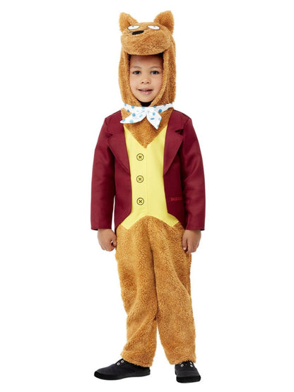 Roald Dahl Fantastic Mr Fox Costume