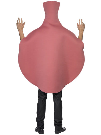 Whoopie Cushion Costume Alternative View 2.jpg